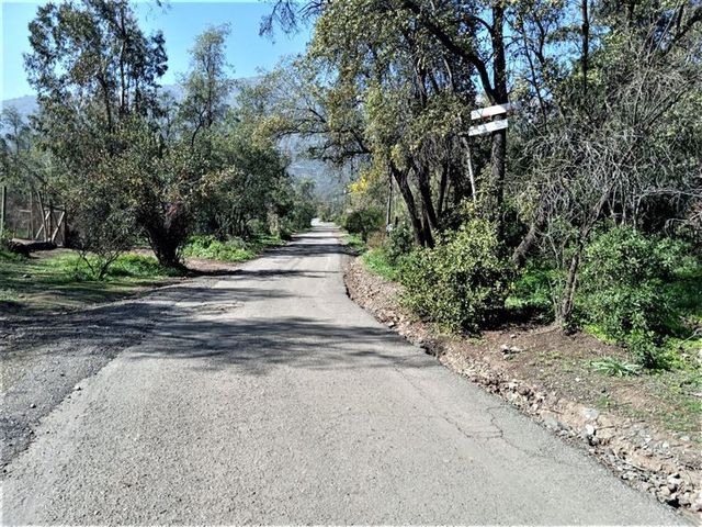 place photo 27