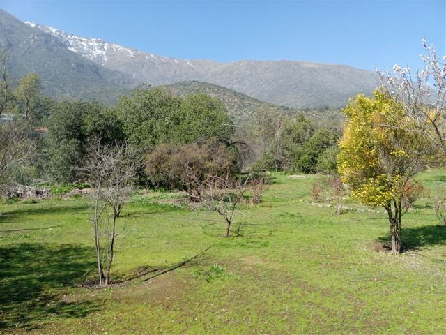 place photo 24