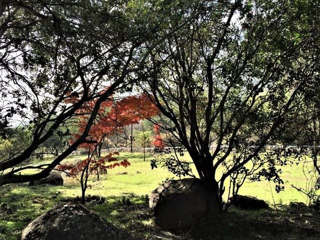 place photo 21