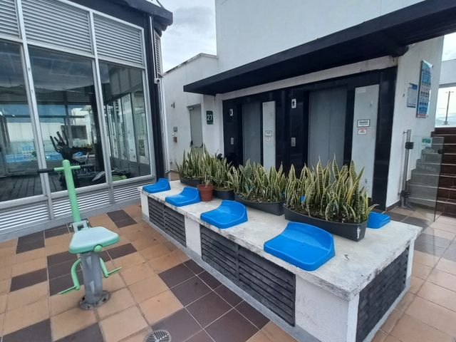 place photo 27