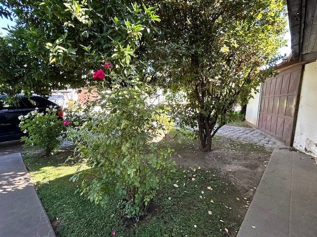 place photo 40