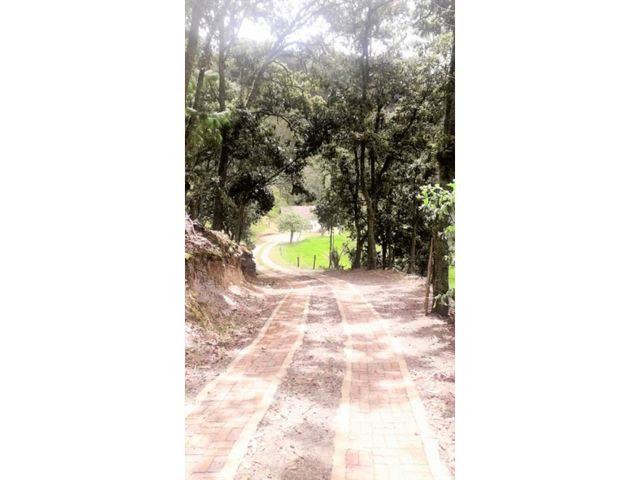 place photo 40
