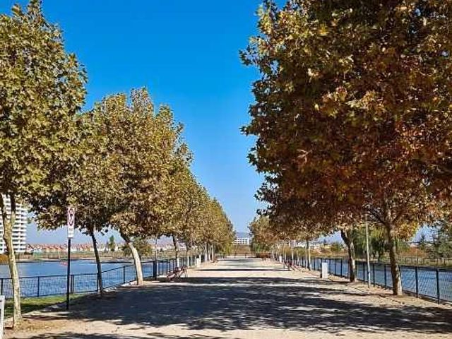 place photo 44