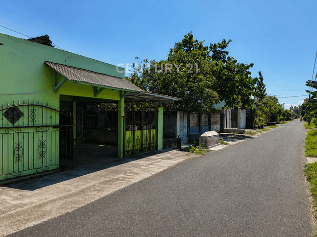 place photo 10