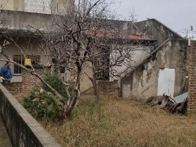 place photo 12