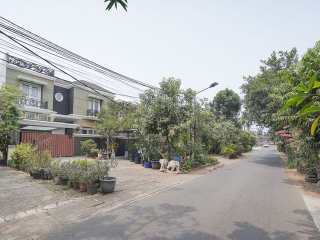 place photo 34