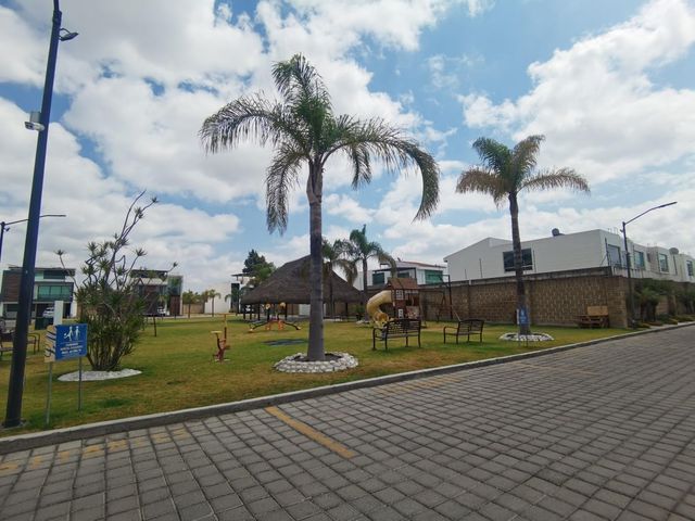 place photo 66