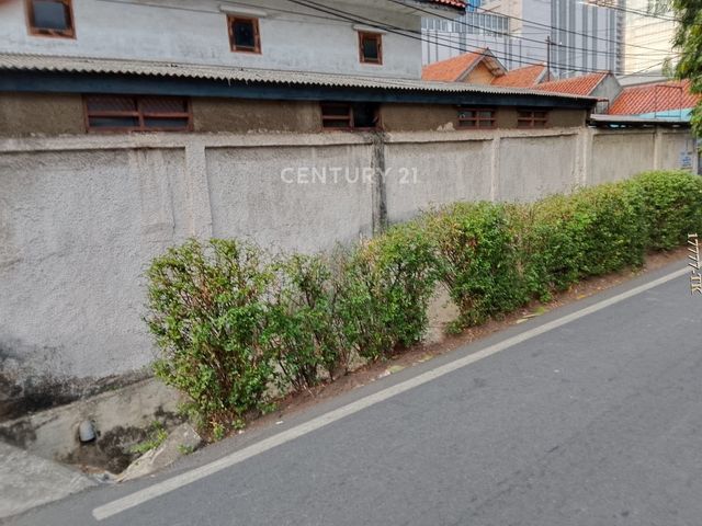 place photo 6