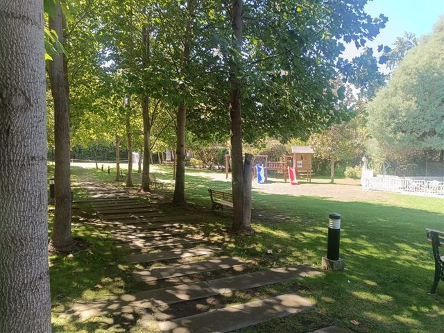 place photo 34