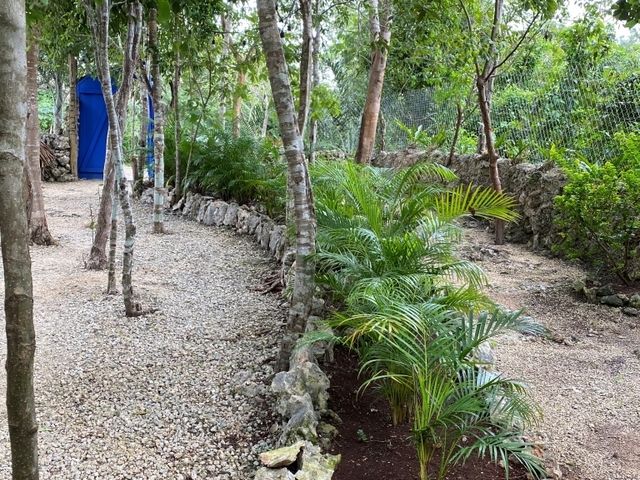 place photo 25