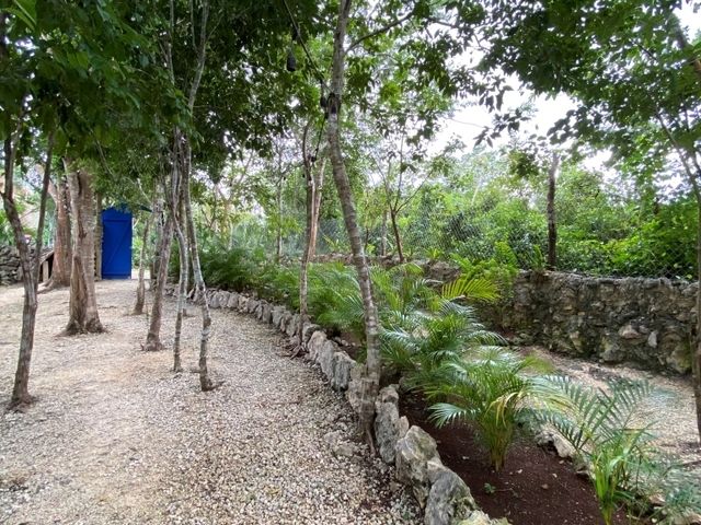 place photo 26