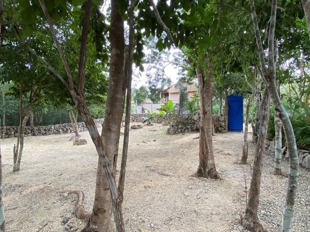 place photo 27