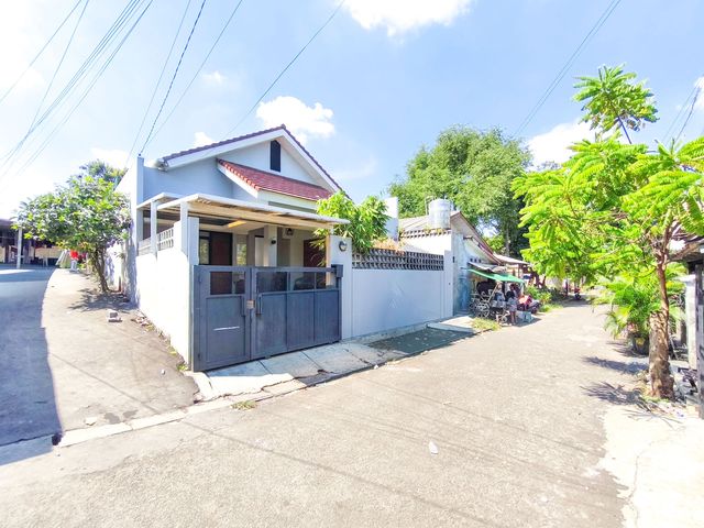 place photo 25