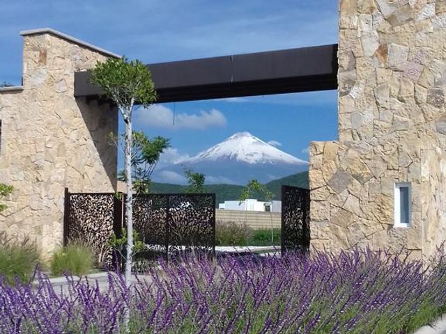 place photo 23