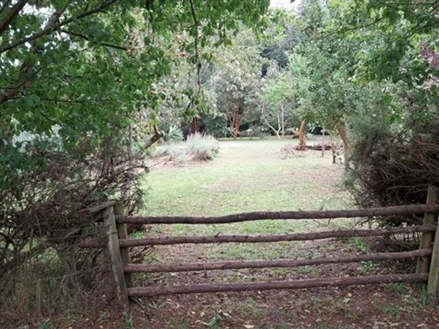 place photo 25