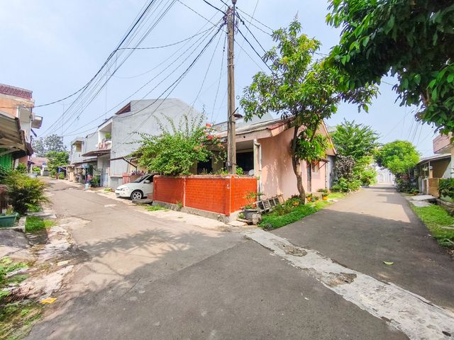 place photo 13