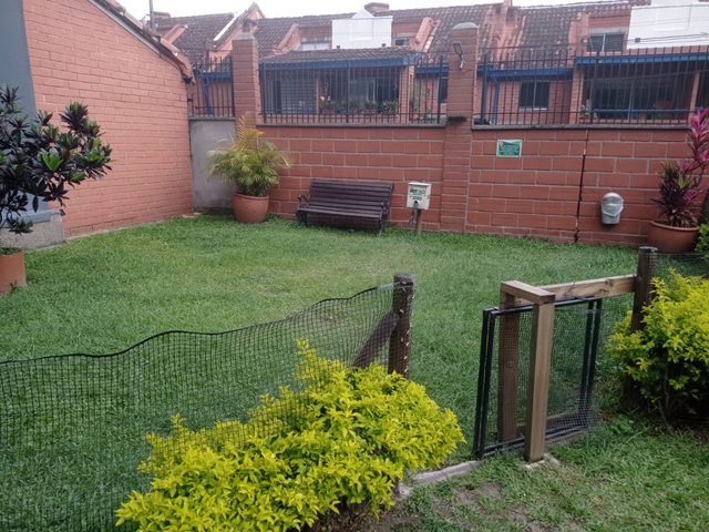place photo 22