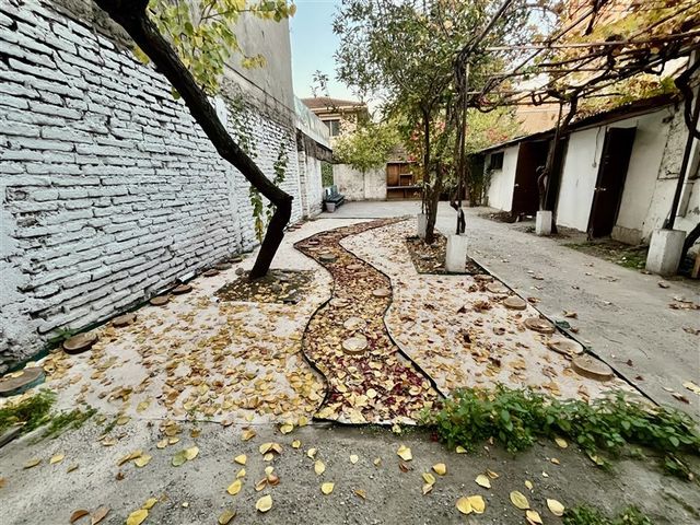place photo 19