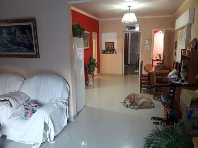 place photo 48