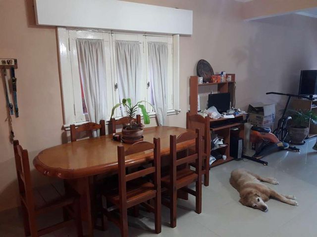 place photo 51