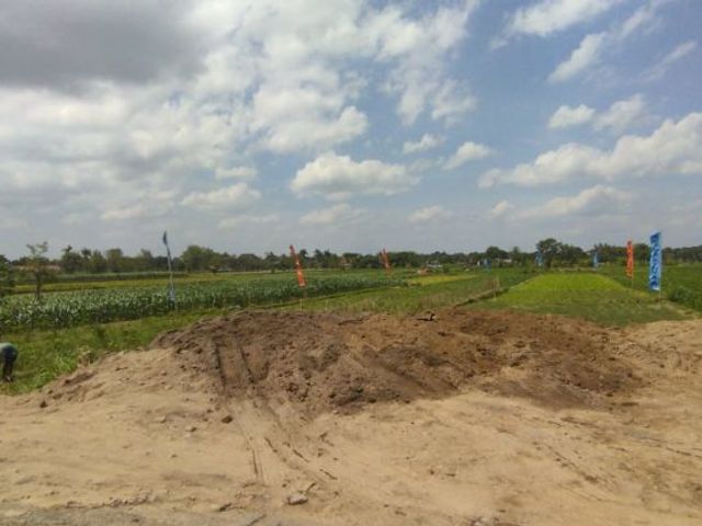 place photo 3