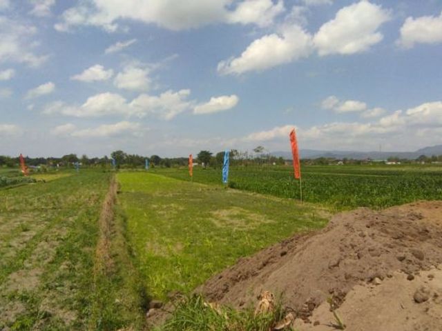 place photo 4