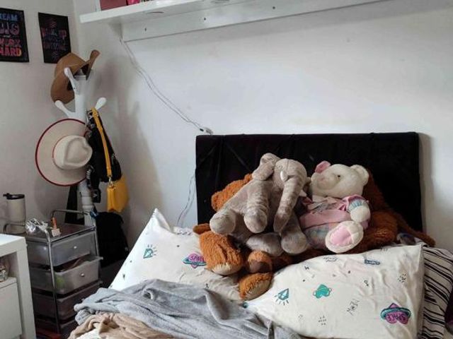 place photo 21