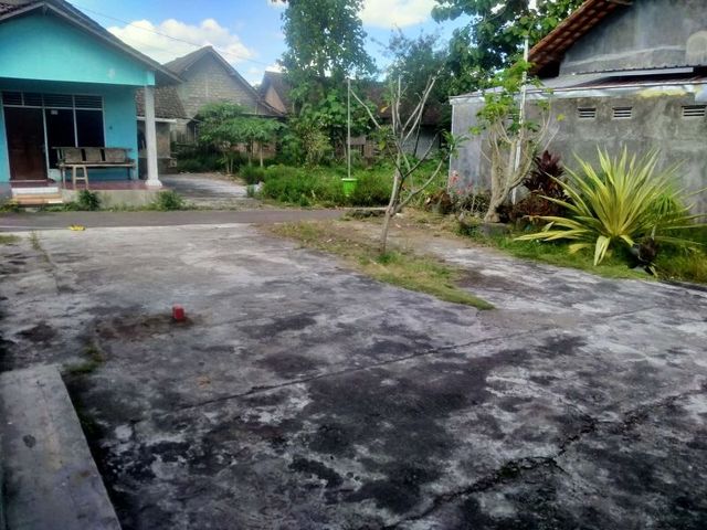 place photo 3