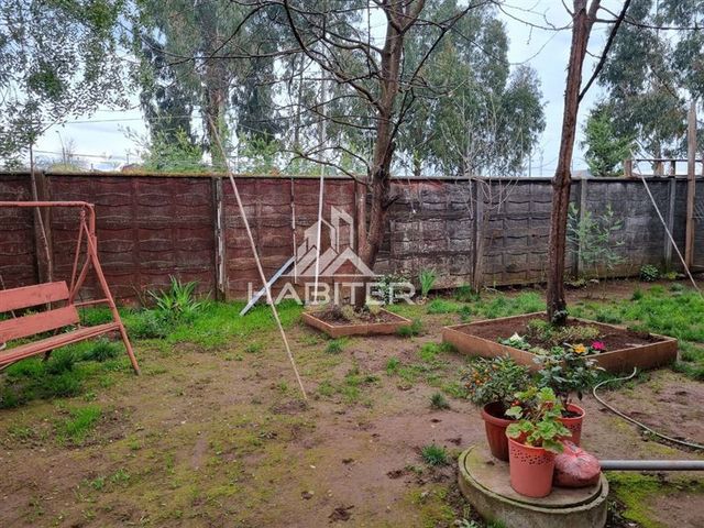 place photo 62