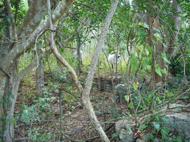 place photo 26