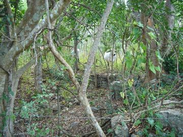place photo 26