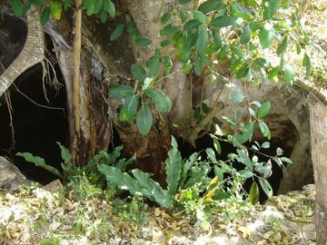 place photo 33