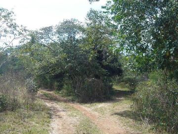 place photo 20