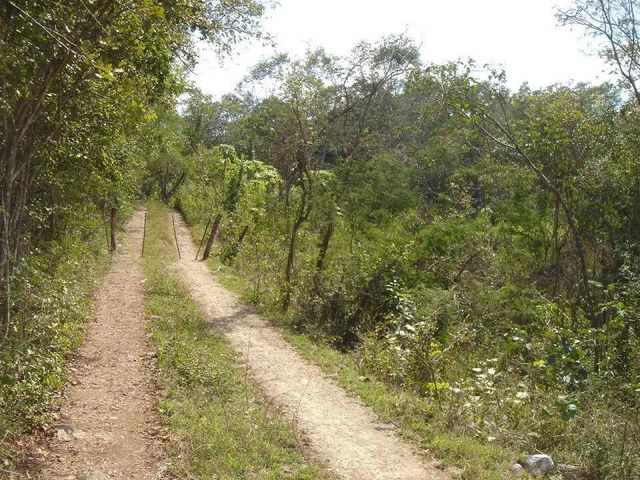 place photo 19