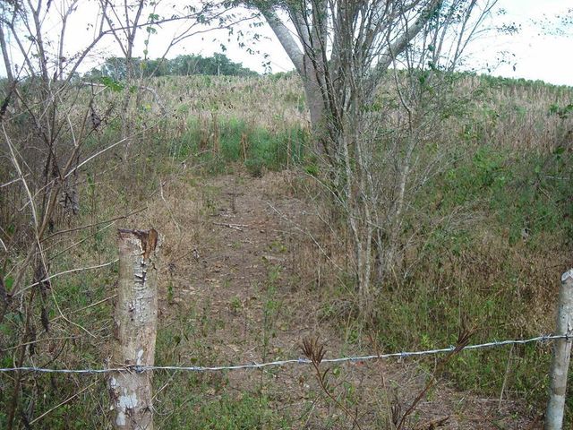 place photo 29