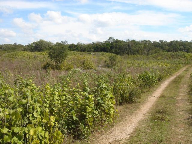 place photo 25