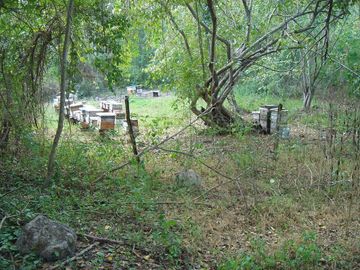 place photo 17