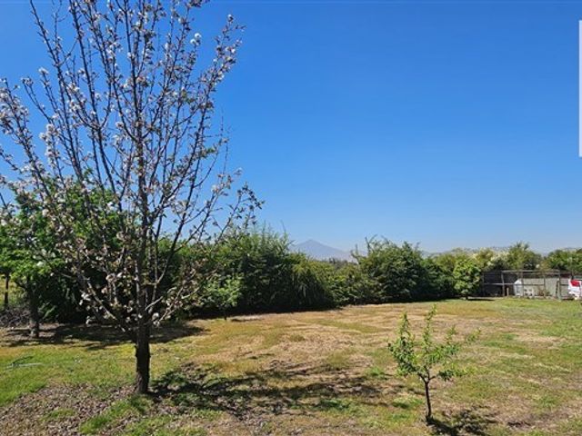 place photo 21