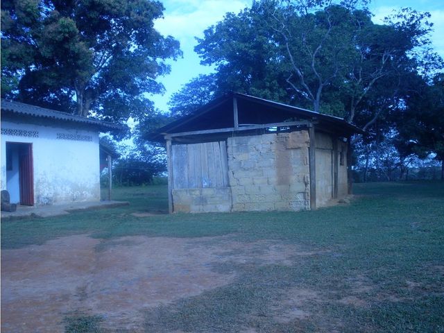 place photo 30