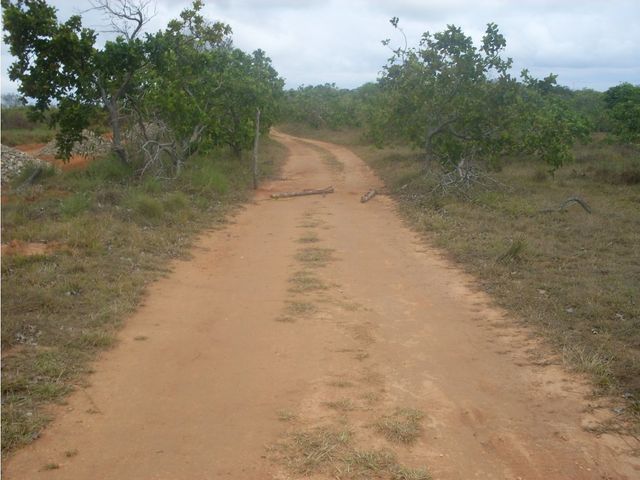 place photo 22