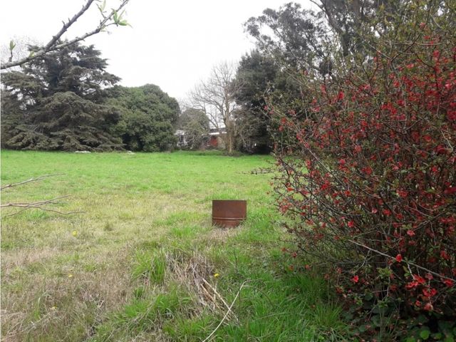 place photo 19