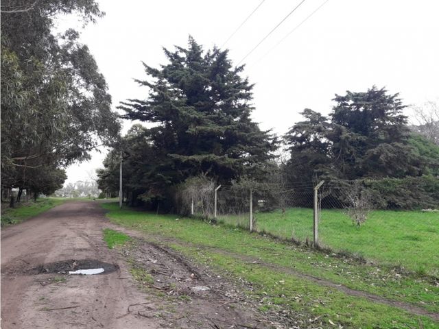 place photo 26