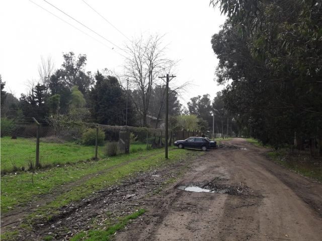 place photo 25