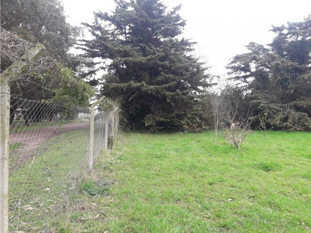 place photo 11