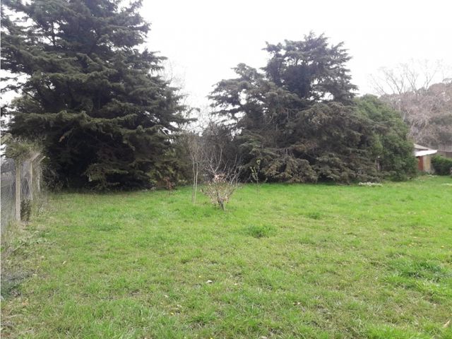 place photo 22