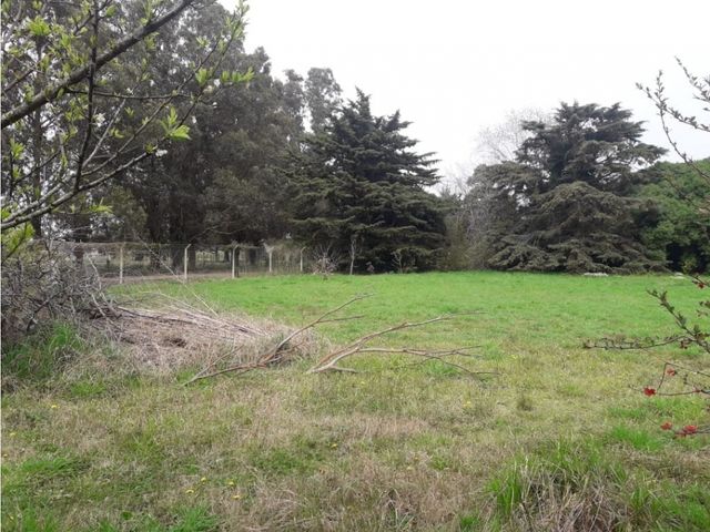 place photo 12