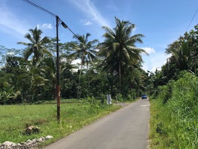 place photo 6