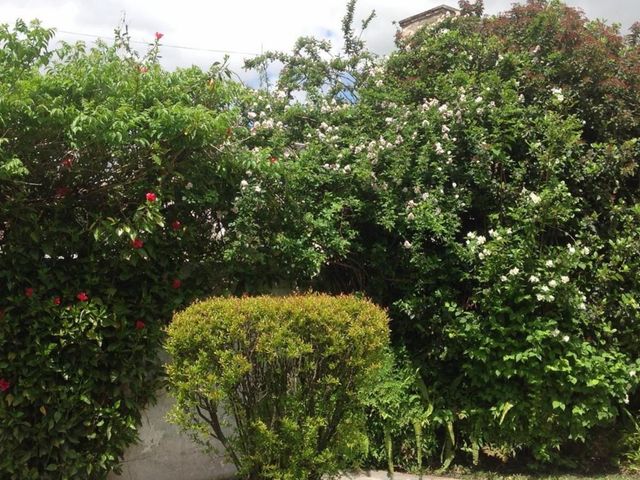 place photo 50