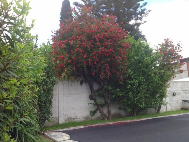 place photo 44
