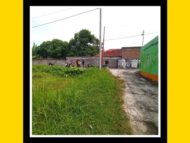 place photo 4